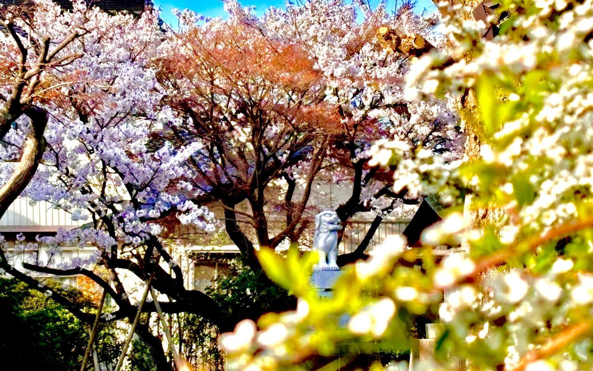 金沢市 コパンくるみヴィラ エクステリア 写真