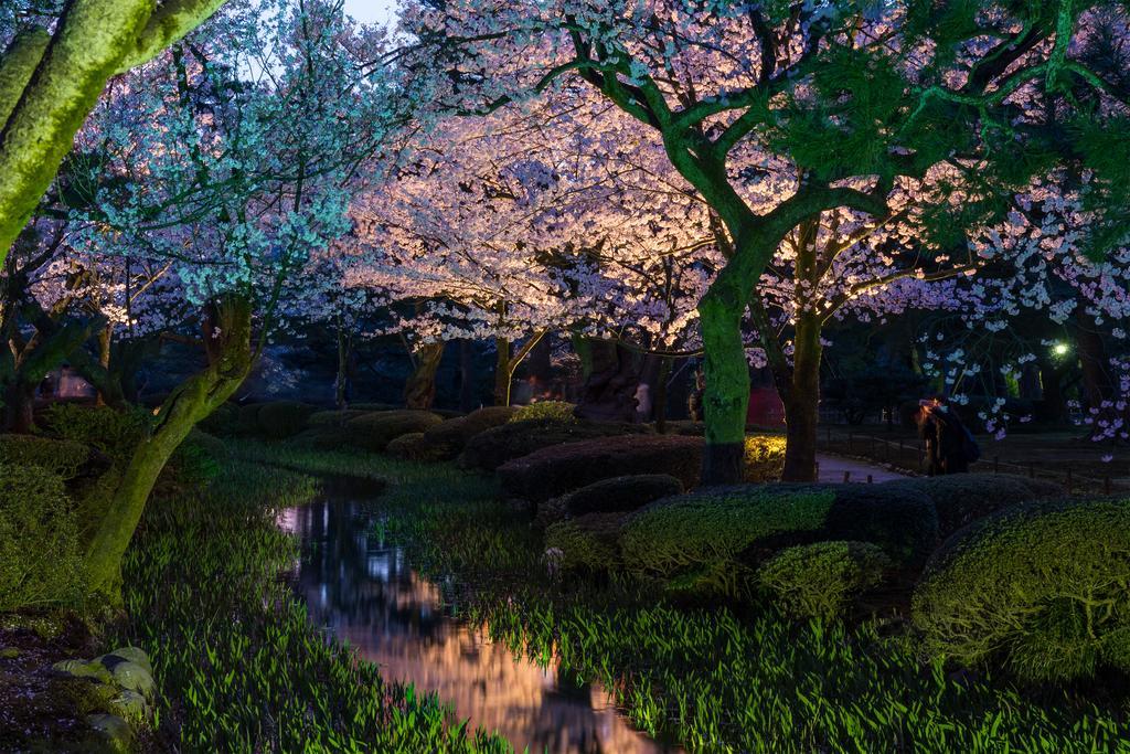 金沢市 コパンくるみヴィラ エクステリア 写真